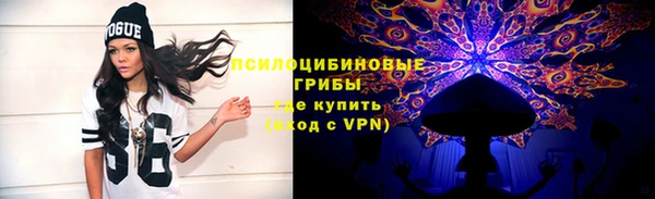 соль ск Алзамай